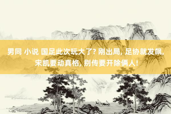 男同 小说 国足此次玩大了? 刚出局， 足协就发飙， 宋凯要动真格， 别传要开除俩人!