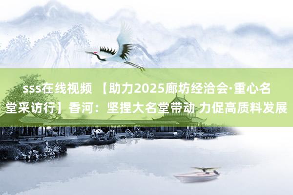 sss在线视频 【助力2025廊坊经洽会·重心名堂采访行】香河：坚捏大名堂带动 力促高质料发展
