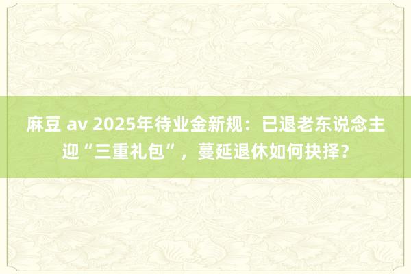 麻豆 av 2025年待业金新规：已退老东说念主迎“三重礼包”，蔓延退休如何抉择？