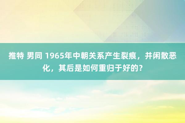 推特 男同 1965年中朝关系产生裂痕，并闲散恶化，其后是如何重归于好的？