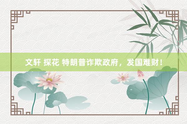 文轩 探花 特朗普诈欺政府，发国难财！