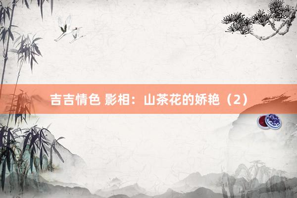 吉吉情色 影相：山茶花的娇艳（2）