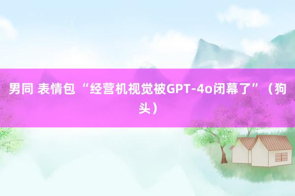 男同 表情包 “经营机视觉被GPT-4o闭幕了”（狗头）